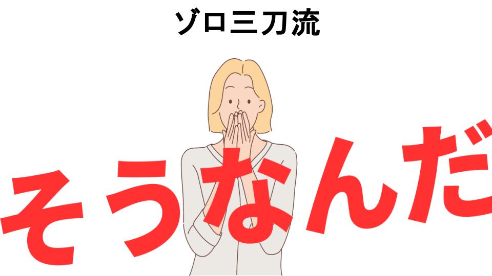 意味ないと思う人におすすめ！ゾロ三刀流の代わり